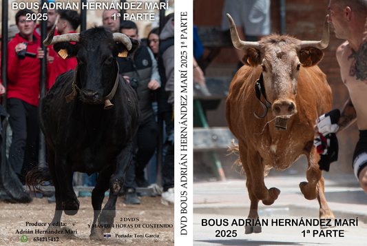 DVD BOUS ADRIÁN HERNÁNDEZ MARÍ 2025 1º PARTE